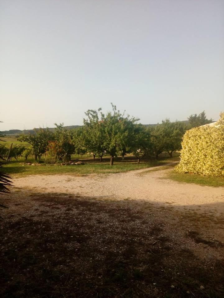 アルゲーロResidenza Agrituristica Santa Lucia Con Piscinaアパートメント エクステリア 写真