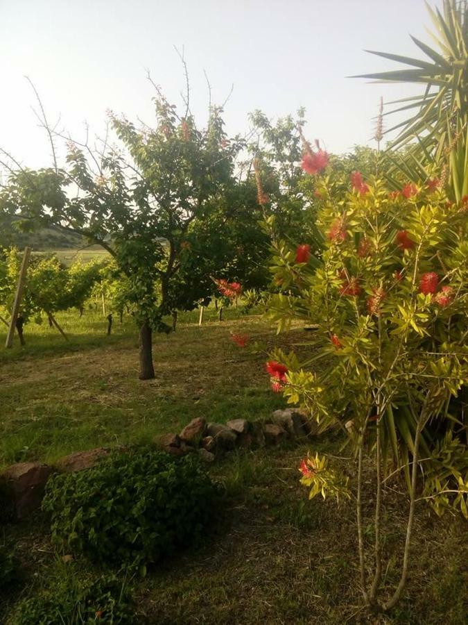 アルゲーロResidenza Agrituristica Santa Lucia Con Piscinaアパートメント エクステリア 写真